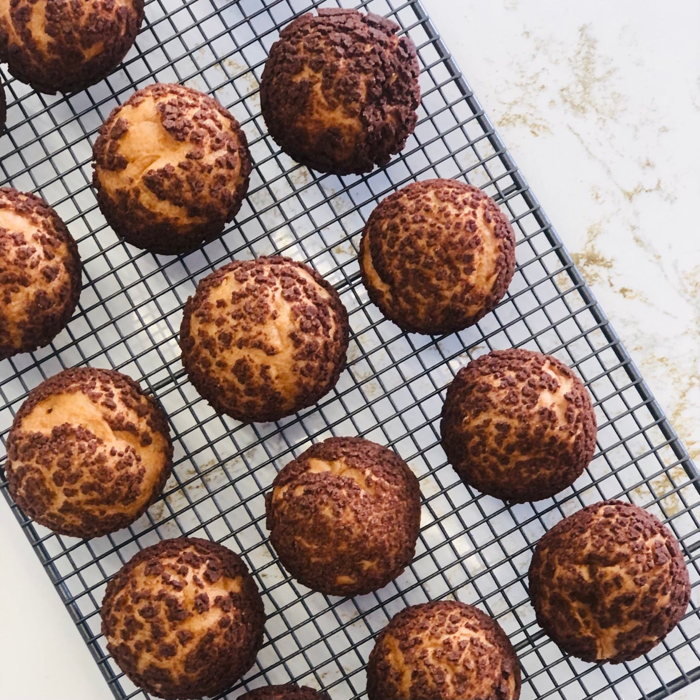 [TODAY] DARK CHOCOLATE CHOUX