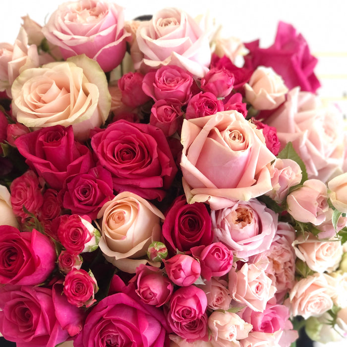 2025 VALENTINES HOT x PASTEL PINK ROSES